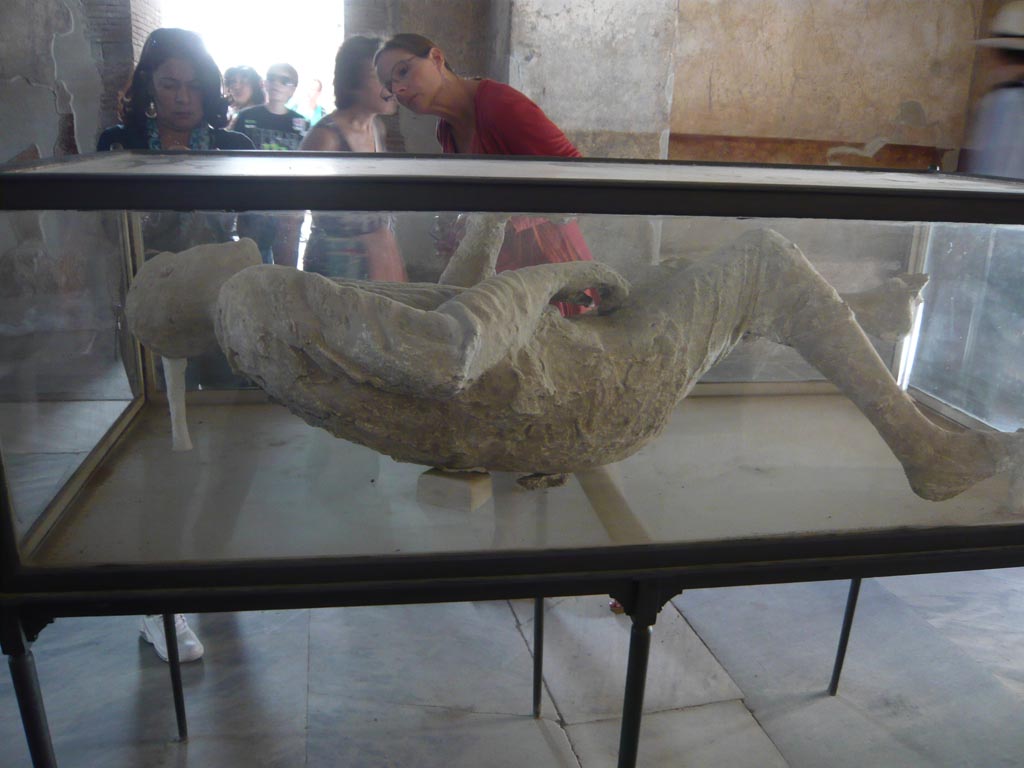 VII.1.8 Pompeii. May 2012. Rear of plaster cast of victim 15, on display in men’s changing room 2. 
Photo courtesy of Buzz Ferebee.
