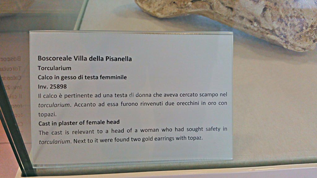 Victim 16. Villa della Pisanella, Boscoreale. December 2018. 
Torcularium P, information card from Boscoreale Antiquarium. Photo courtesy of Giuseppe Ciaramella.
The gives the inventory number of 25898.
Osanna et al give the inventory number as 90538.
See Osanna, N., Capurso, A., e Masseroli, S. M., 2021. I Calchi di Pompei da Giuseppe Fiorelli ad oggi: Studi e Ricerche del PAP 46, p. 353 Calco n. 16.

