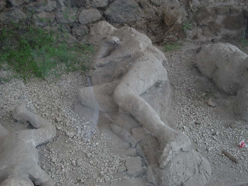 I.21.6 Pompeii. May 2010. Detail of plaster casts of impressions of bodies. Victim 39.