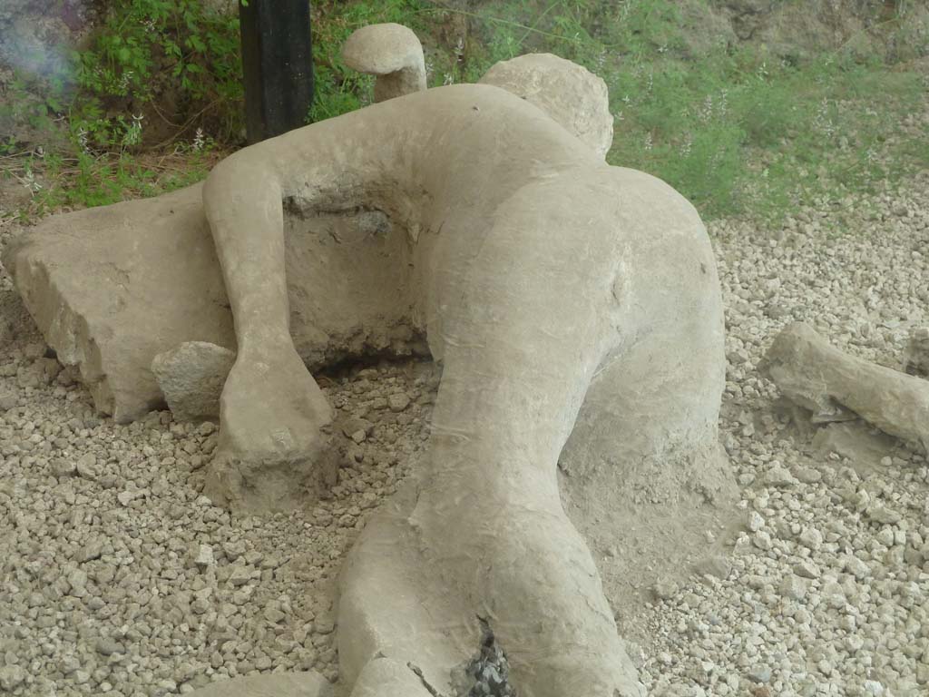 I.21.6 Pompeii. May 2010. Detail of a plaster cast of impression of a body. Victim 41.