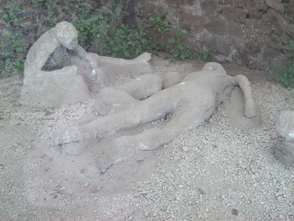 I.21.6 Pompeii. May 2010. Detail of plaster casts of impressions of three bodies. Left to right, Victim 43, victim 44 and victim 45.