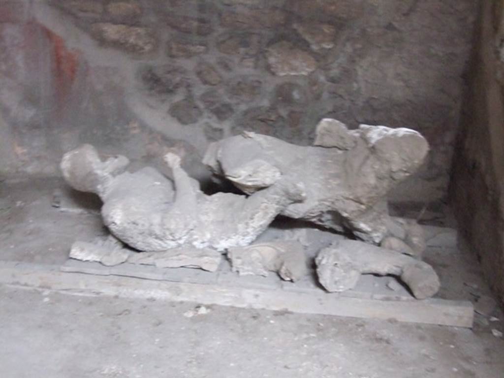 I.8.17 Pompeii. December 2007. Room 10, plaster casts of victims 85 (rear) and 84 (front).