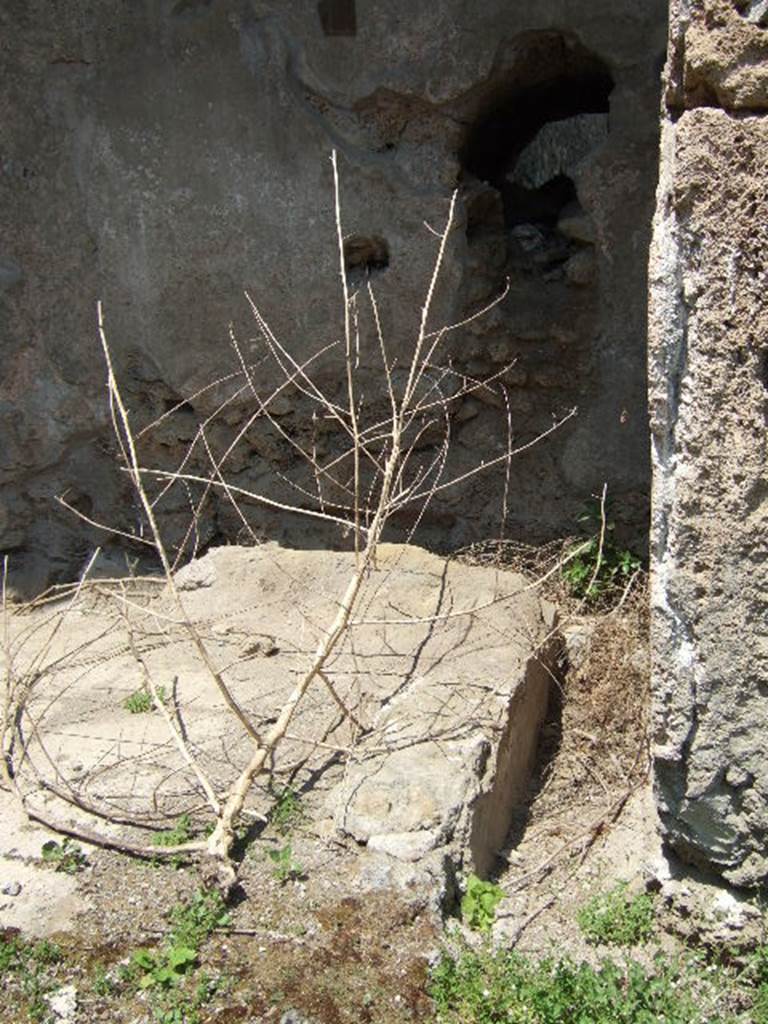 Fountain in Gladiators Barracks? May 2006. North-east corner.