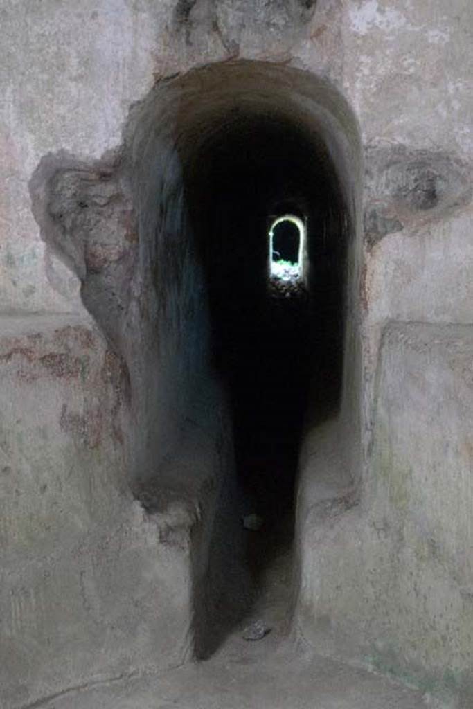 Castellum Aquae Pompeii. July 2010. Aqueduct water inlet channel. 
This is in rear north wall of the water tower has a height of 1.24m. 
The base of the channel, in which the water flowed, is narrower.
See Notizie degli Scavi di Antichità, 1903 p. 27-31, fig. 5.
Outside the north-west corner of the Porta del Vesuvio is a fenced water channel pit, down which the light at the far end is coming.
Water came on the Augustan aqueduct of Serino which brought water from Serino in Avellino province. 
