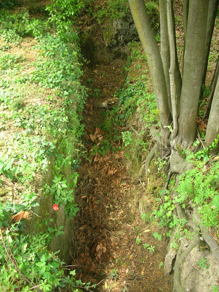 Nola Gate, Pompeii. May 2010. Line of inner city wall on upper north wall. Photo courtesy of Ivo van der Graaff.