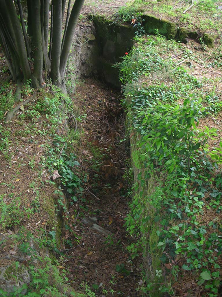 Nola Gate, Pompeii. May 2010. 
Looking south-east along line of inner city wall on upper north wall. Photo courtesy of Ivo van der Graaff.

