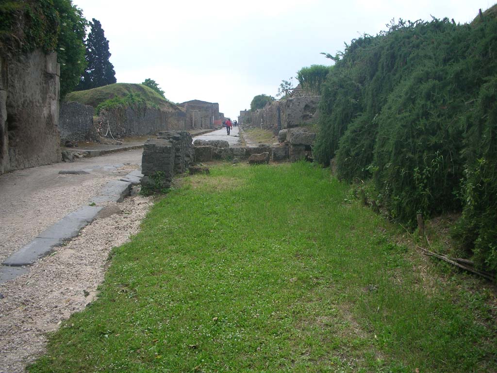 Porta di Sarno or Sarnus Gate. May 2010. Looking west along site of north side of Gate. Photo courtesy of Ivo van der Graaff.