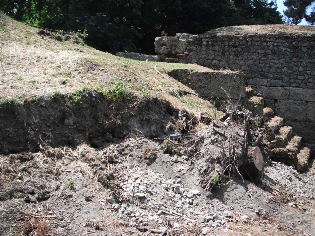 Porta Stabia, Pompeii. May 2011. 
Looking south-west towards north end of gate with steps on east side. Photo courtesy of Ivo van der Graaff.
