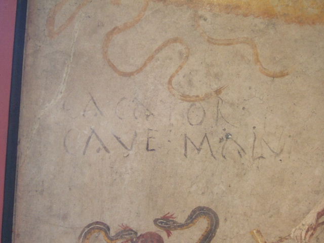 Cacator Cave Malu(m) inscription found on lararium wall painting of Isis Fortuna found in IX.7.21/22.  Now in Naples Archaeological Museum. Inventory number: 112285.  According to Giacobello, the house communicated with the workshop, across the atrium. In the corridor that led to the latrine, was found the fresco figuring Fortuna, a male figure and serpents, with the inscription Cacator cave malu(m). See Giacobello, F., 2008. Larari Pompeiani: Iconografia e culto dei Lari in ambito domestico.  Milano: LED Edizioni. (p.250)              

