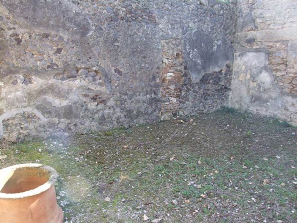 IX.9.11 Pompeii.  March 2009.  Room 6, Garden area.  South west corner, with rectangular basin. Above this was the Lararium painting, badly damaged when found. The Lararium included a painting of Bacchus, a male follower of Bacchus and two maenads, Agave with the head of Pentheus, and Silenus. See Jashemski, W. F., 1993. The Gardens of Pompeii, Volume II: Appendices. New York: Caratzas, p. 247. See Boyce G. K., 1937. Corpus of the Lararia of Pompeii. Rome: MAAR 14.  (463c).