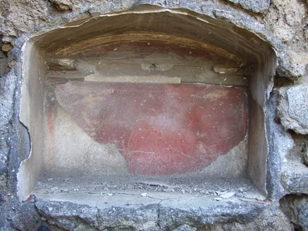 IX.9.13 Pompeii.  March 2009. Detail of Lararium Niche. 