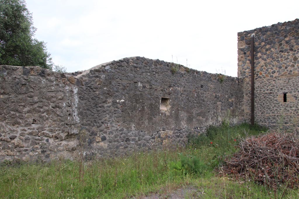 I.15.3 Pompeii. May 2024. West wall of garden/vineyard, with niche near north-west corner. Photo courtesy of Klaus Heese. 