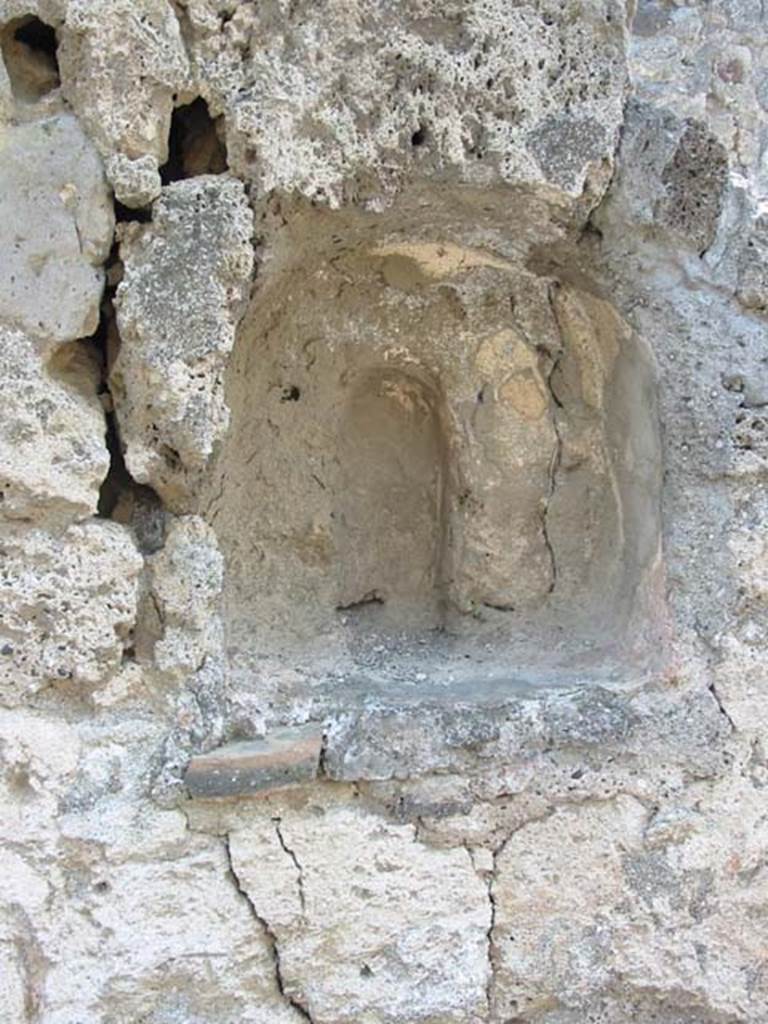 V.1.13 Pompeii. May 2003. 
Niche in south wall, with small vaulted recess at rear for a statue. Photo courtesy of Nicolas Monteix.
According to Boyce –
In the south wall of the corridor that leads to rear rooms, is an arched niche (h.0.38, w.0.34, d.0.18, h. above floor 1.45); 
in the rear wall of it there is a small vaulted recess, apparently for a statuette, and in the floor, a hole for the insertion of the base.
See Boyce G. K., 1937. Corpus of the Lararia of Pompeii. Rome: MAAR 14. (p.32, no.73) 
According to Boyce – 2 bronze statuettes were found in the room, one of a Lar (height 0.115), one of Mercury with winged petasos (height 0.112). 
He quoted references - Giorn. Scavi, N.S, iii, 1877, p.253, Bull. Inst, 1877 p.136, and VIOLA, Scavi, pp74, No.8, 75, No.18.
See Boyce G. K., 1937. Corpus of the Lararia of Pompeii. Rome: MAAR 14. (p.32, no.73).

