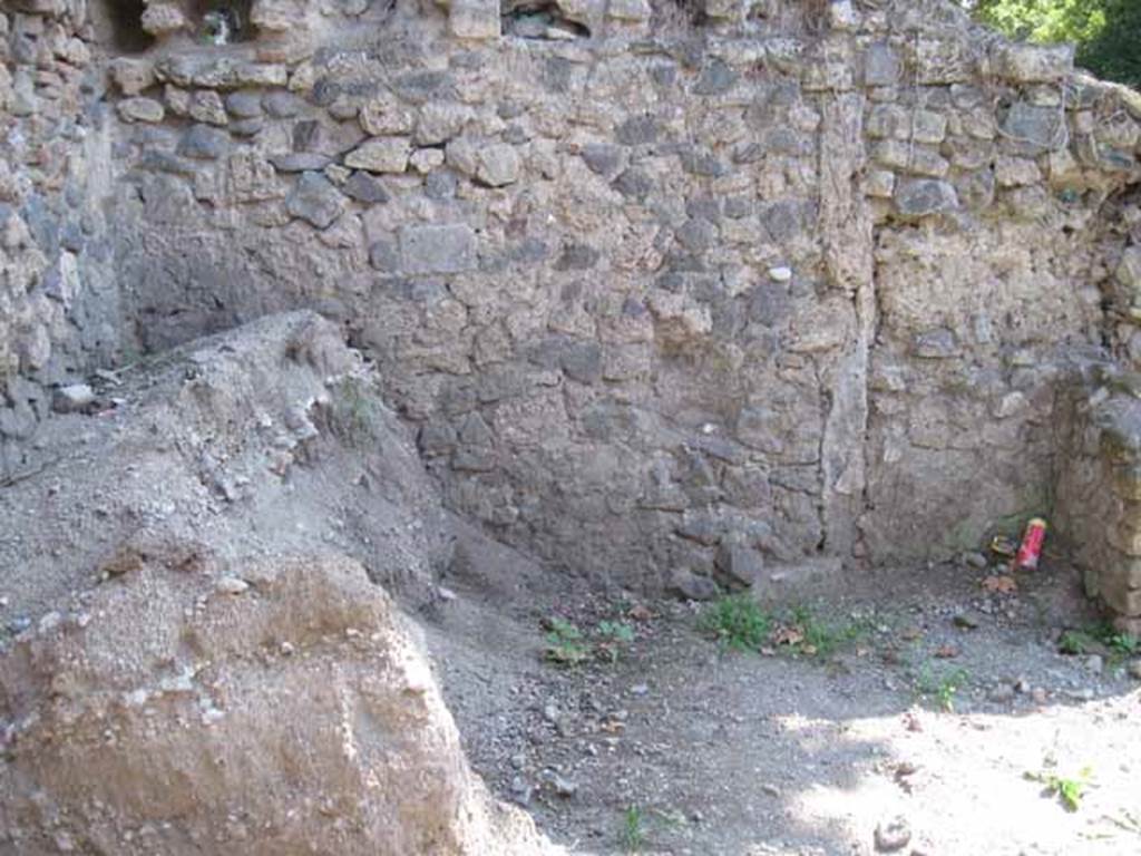 .1.10 Pompeii. September 2010. Looking south towards south-east corner
Photo courtesy of Drew Baker.
