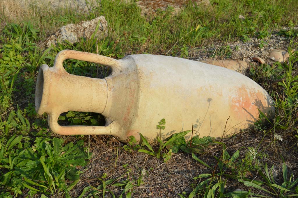 I.2.24 Pompeii. October 2017. Amphora. 
Foto Taylor Lauritsen, ERC Grant 681269 DCOR.

