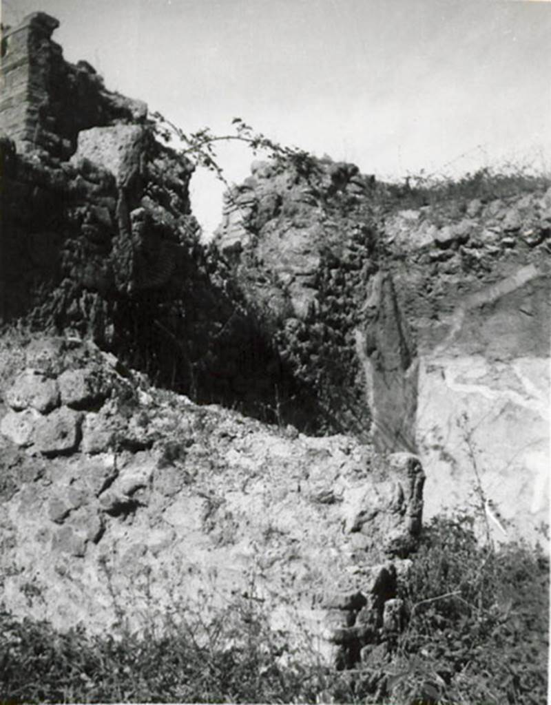 I.3.6 Pompeii. 1935 photograph taken by Tatiana Warscher. Looking north from entrance room towards north wall and doorway into room on north side. According to Warscher, she wrote 
Sul muro di fondo della bottega si apre una finestra che d sulla strada.
(translation: In the rear wall of the shop, there opened a window that gave onto the street.)
See Warscher, T, 1935: Codex Topographicus Pompejanus, Regio I, 3: (no.14), Rome, DAIR, whose copyright it remains.  
