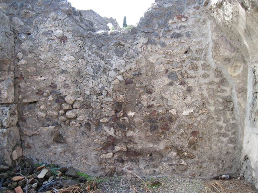 I.3.6 Pompeii. September 2010. West wall of vaulted room on north side of entrance room.
Photo courtesy of Drew Baker.
