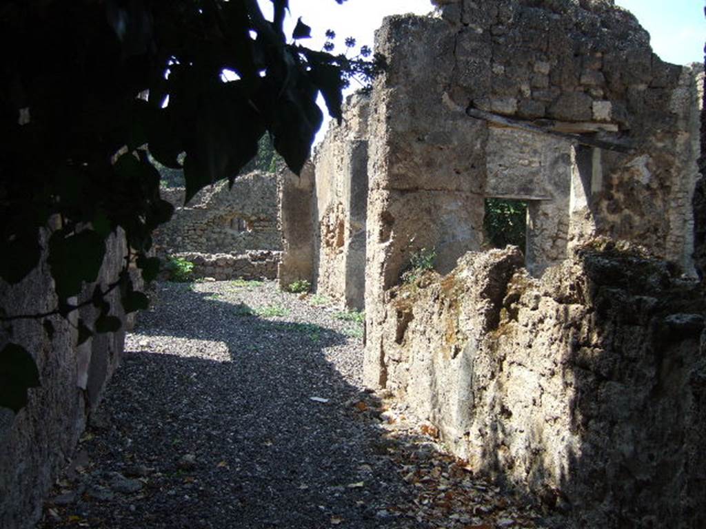 I.3.25 Casa dei Guerrieri. Rooms to north of entrance