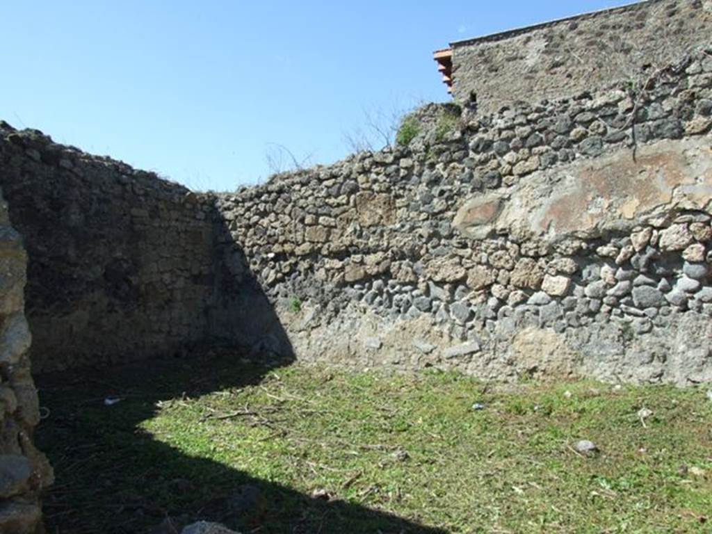 I.3.30 Pompeii.  March 2009. Room 5. Triclinium.  North west corner.