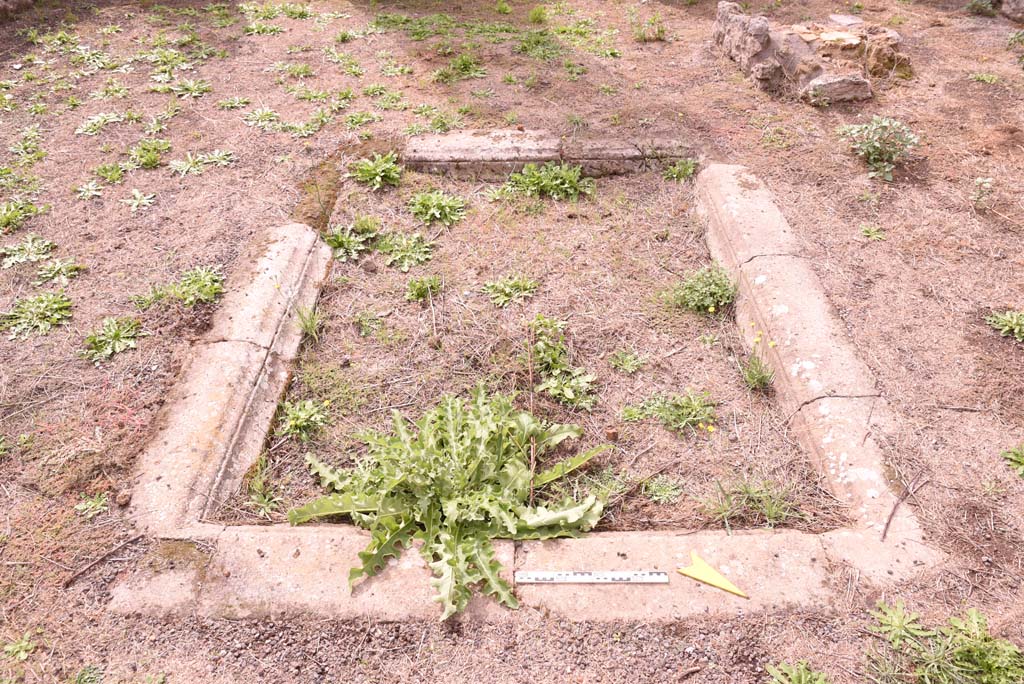 I.4.2 Pompeii. October 2019. Detail of impluvium in atrium, looking west.
Foto Tobias Busen, ERC Grant 681269 DCOR.

