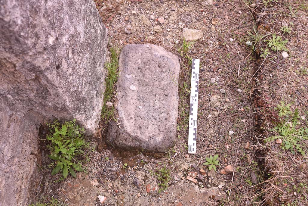 I.4.9 Pompeii. October 2019. Tablinum h, detail at base of south wall in south-west corner of tablinum.
Foto Tobias Busen, ERC Grant 681269 DCOR.
