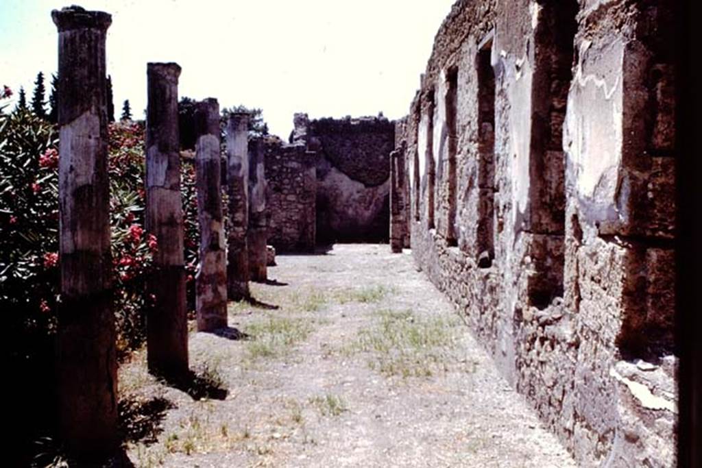 I.4.25 Pompeii. 1966. Looking west along windows on north side of lower peristyle 32. Photo by Stanley A. Jashemski.
Source: The Wilhelmina and Stanley A. Jashemski archive in the University of Maryland Library, Special Collections (See collection page) and made available under the Creative Commons Attribution-Non Commercial License v.4. See Licence and use details.
J66f0565
