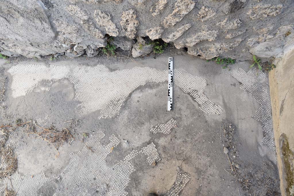 I.4.25 Pompeii. September 2020. Room 34, detail of flooring in alcove, near south-east corner, on right.
Foto Tobias Busen, ERC Grant 681269 DÉCOR.
