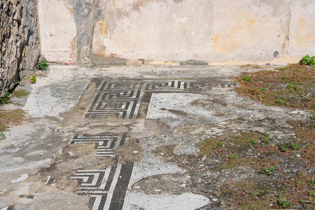 I.4.25 Pompeii. October 2023. 
Room 35, looking across mosaic flooring towards east wall in north-east corner. Photo courtesy of Johannes Eber.
