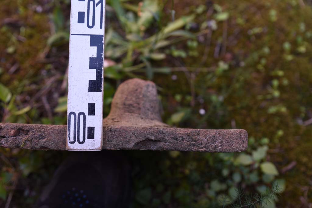 I.4.25/I.4.5 Pompeii. October 2019. Calidarium 41, detail of Tegula Mammata.
Foto Tobias Busen, ERC Grant 681269 DCOR.
