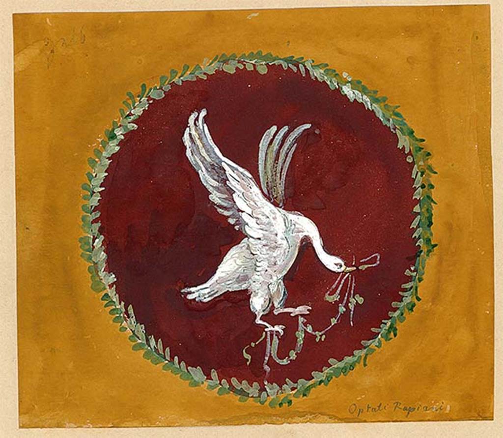 I.4.25 Pompeii. Painting of swan in flight from upper peristyle 56, north wall, east end. 
This is the first panel from the west in the Mau painting above. The artist is unknown.
DAIR 83.15. Photo © Deutsches Archäologisches Institut, Abteilung Rom, Arkiv. 
See Carratelli, G. P., 1990-2003. Pompei: Pitture e Mosaici: Vol. 1. Roma: Istituto della enciclopedia italiana, p. 164.
