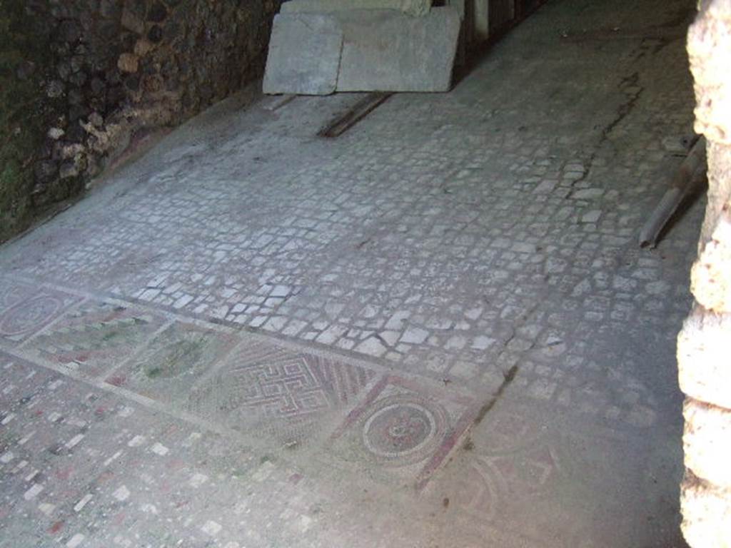 I.6.2 Pompeii. May 2006. Detail of mosaic threshold or sill between antecamera and oecus/triclinium in south-east corner of the east wing. 
