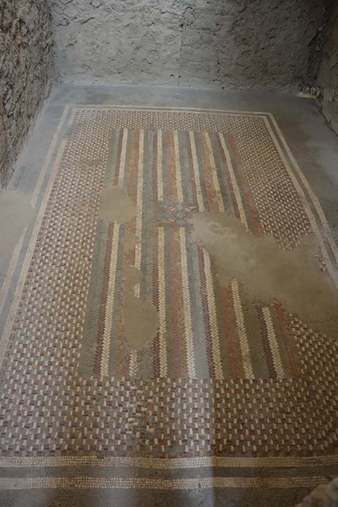 I.6.2 Pompeii. September 2019. Floor carpet mosaic in anteroom, apodyterium or changing room. Photo courtesy of Klaus Heese.