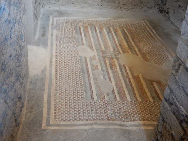 I.6.2 Pompeii. September 2019. Floor carpet mosaic in anteroom, apodyterium or changing room.
Foto Annette Haug, ERC Grant 681269 DCOR.
