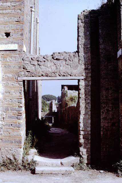 I.6.2 Pompeii (Side wall, on left). Vicolo di Paquius Proculus looking north, I.7 on right.
