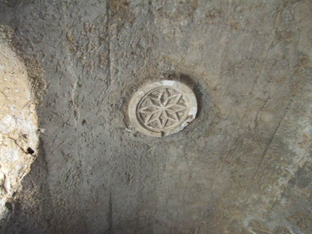 I.6.2 Pompeii. May 2016. Detail of piece of stucco from ceiling of north wing of cryptoporticus.  Photo courtesy of Buzz Ferebee.
