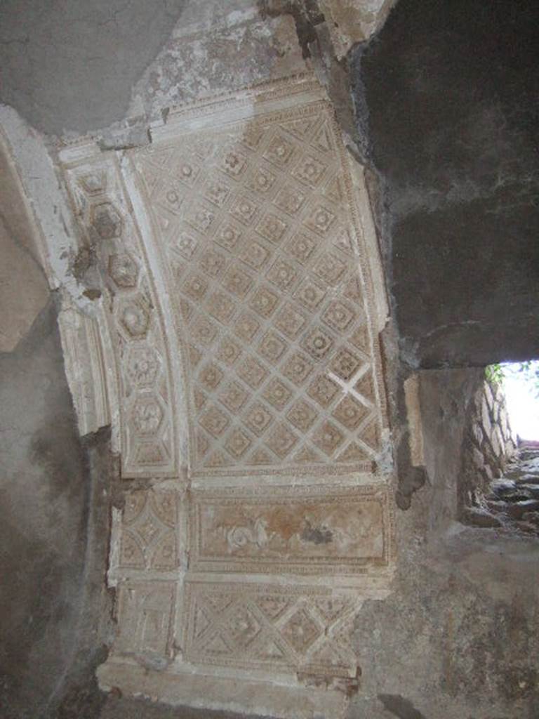 I.6.2 Pompeii. May 2006. Stuccoed vaulted ceiling in cryptoporticus.