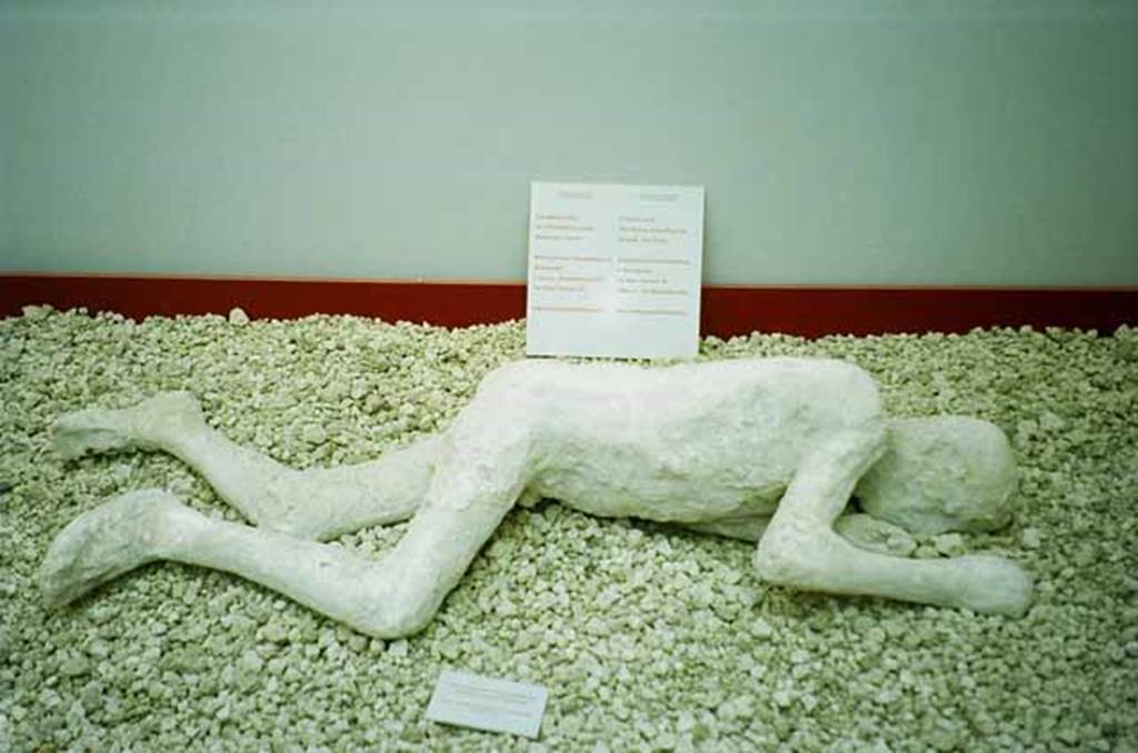 I.6.2 Pompeii. Plaster cast of two victims, found in the garden, between 2nd and 21st July 1914.
The casts were formed “with the long and patient work of two valued workmen, Umberto Borelli and Armando Mancini”.
See Notizie degli Scavi di Antichità, 1914, Vol XI, p.261. (Fig.5)
