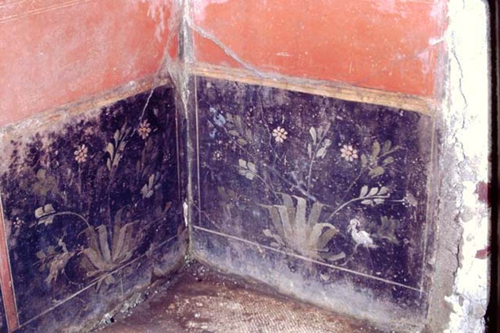 I.6.4 Pompeii. March 2009. Room 5, mosaic floor.