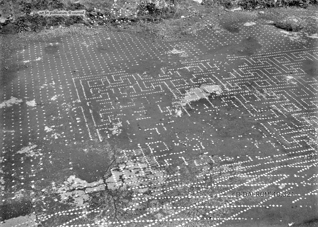 I.6.13 Pompeii. c.1930. Flooring in tablinum 6.  
DAIR 40.321. Photo  Deutsches Archologisches Institut, Abteilung Rom, Arkiv.
See Pernice, E.  1938. Pavimente und Figrliche Mosaiken: Die Hellenistische Kunst in Pompeji, Band VI. Berlin: de Gruyter, (p.42, and tav. 11.4 above.)

