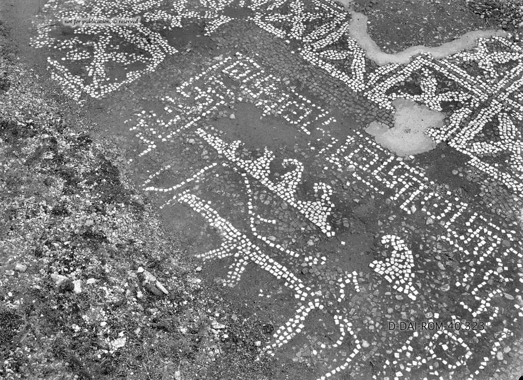 I.6.13 Pompeii. c.1930. Flooring in room 9.   
DAIR 40.323. Photo  Deutsches Archologisches Institut, Abteilung Rom, Arkiv.
See Pernice, E.  1938. Pavimente und Figrliche Mosaiken: Die Hellenistische Kunst in Pompeji, Band VI. Berlin: de Gruyter, (p.42, and tav. 11.6 above.)
