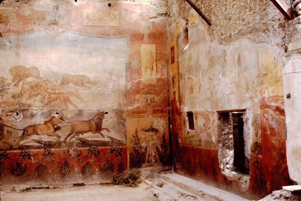 I.6.15 Pompeii. October 2014. Room 9, north-east corner.    
Foto Annette Haug, ERC Grant 681269 DCOR
