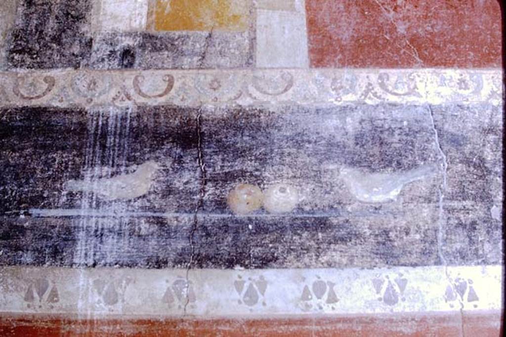 I.6.15 Pompeii. October 2019. Room 13, looking west across flooring.        
Foto Annette Haug, ERC Grant 681269 DCOR

