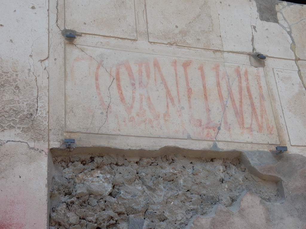 I.6.15 Pompeii. May 2015. Graffito found on front of house, to right of entrance.
C(aium)  Cornelium
aed(ilem)  Tyrsus  [ro]gat     [CIL IV 7190]
Photo courtesy of Buzz Ferebee.
