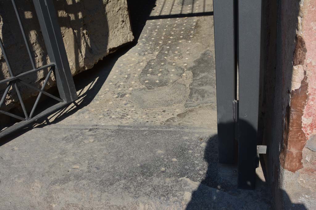 I.6.15 Pompeii. March 2019. Looking north towards flooring of entrance corridor/fauces, from doorway step.             
Foto Annette Haug, ERC Grant 681269 DÉCOR

