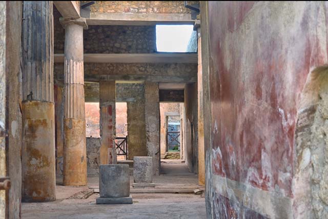 I.6.15 Pompeii. May 2015. Entrance corridor or fauces with patterned floor.
Photo courtesy of Buzz Ferebee.
