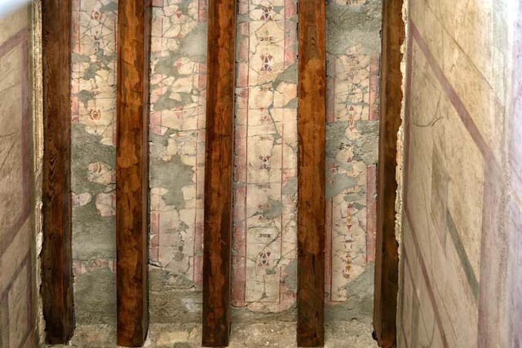 I.6.15 Pompeii. June 2019. 
Looking south to entrance corridor with patterned floor, separated from atrium mosaic floor. Photo courtesy of Buzz Ferebee.
