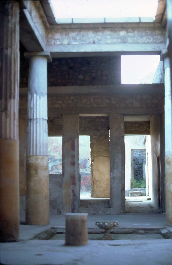 I.6.15 Pompeii. 1964. Room 4, looking north across tetrastyle atrium towards garden area.  Photo by Stanley A. Jashemski.
Source: The Wilhelmina and Stanley A. Jashemski archive in the University of Maryland Library, Special Collections (See collection page) and made available under the Creative Commons Attribution-Non Commercial License v.4. See Licence and use details.
J64f0928
