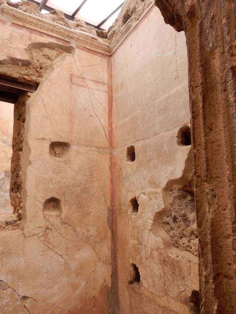 I.6.15 Pompeii. June 2019. Room 8, detail from upper north wall. Photo courtesy of Buzz Ferebee.