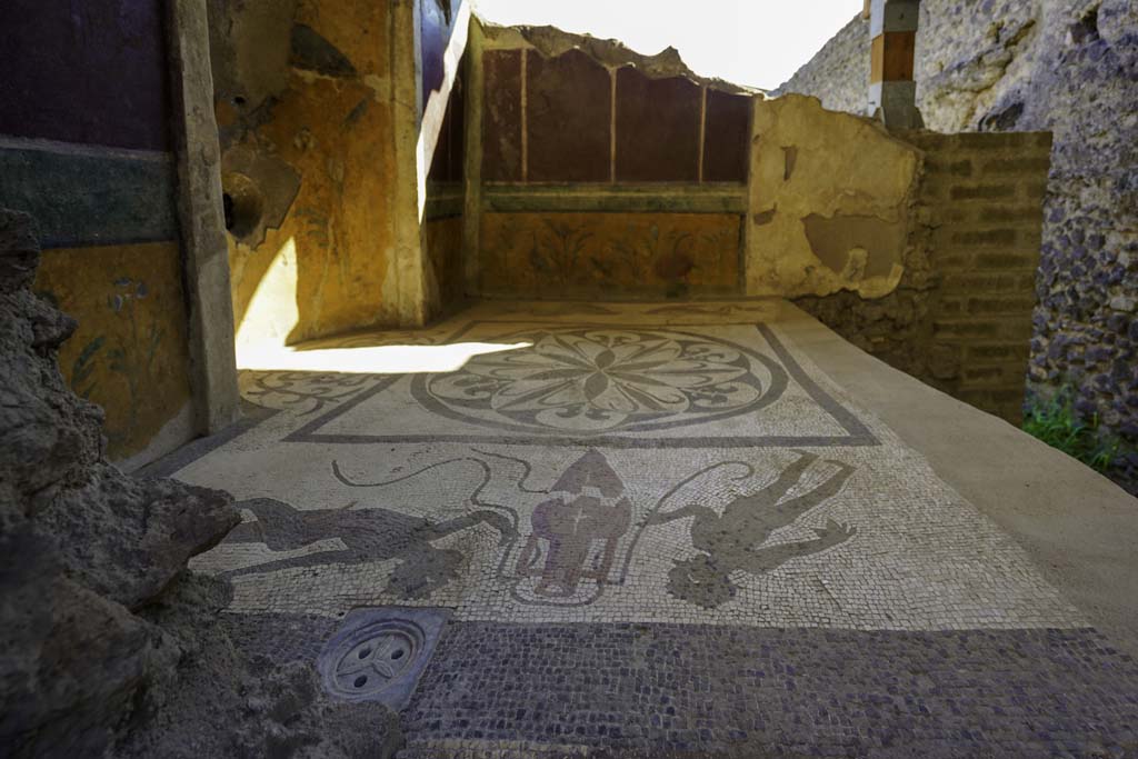 I.6.16 Pompeii, August 2021. Looking east across caldarium with mosaic paving. Photo courtesy of Robert Hanson.