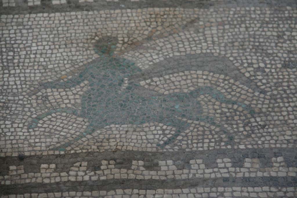 I.7.1 Pompeii. April 2013. Detail of mosaic flooring, Centaur, on left of south end of entrance corridor.
Photo courtesy of Klaus Heese.
